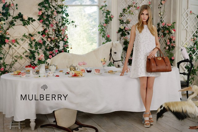 mulberry-3