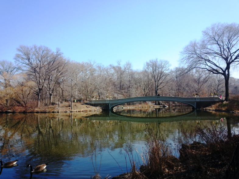 O Central Park é aquela área pública que fica linda em qualquer estação do ano! 