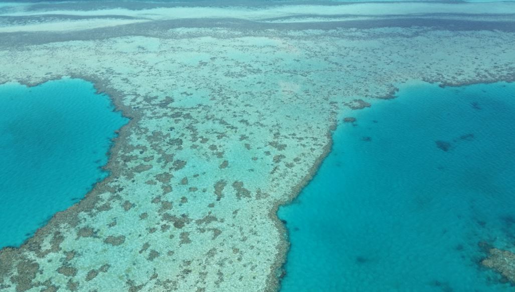 grande-barreira-de-corais-australiana